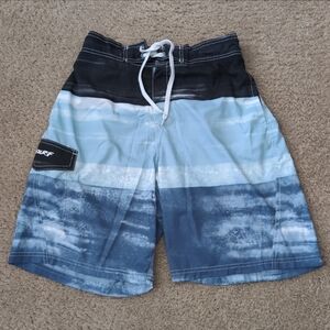 Men's Blue Board Shorts